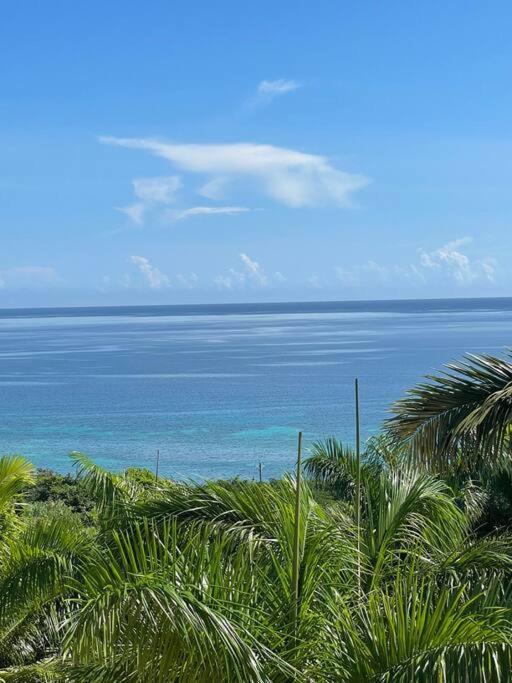 Spring Garden Mobay Resort Luxurious Apartments Montego Bay Luaran gambar