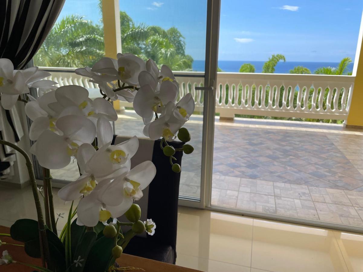 Spring Garden Mobay Resort Luxurious Apartments Montego Bay Luaran gambar